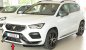 Preview: Rieger Spoilerschwert Seat Ateca Cupra (5FP) 08.20- (ab Facelift) - 27043