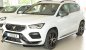 Preview: Rieger Spoilerschwert Seat Ateca Cupra (5FP) 08.20- (ab Facelift) - 27043