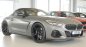 Preview: Rieger Spoilerschwert BMW Z4 (G4Z/G29) 03.19- - 50520