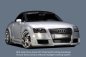 Preview: Rieger Spoilerstoßstange R-Frame Audi TT (8N) - 55108