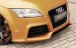 Preview: Rieger Spoilerschwert Audi TT (8J) 09.06- - 55164