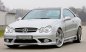 Preview: Rieger Seitenschweller Mercedes CLK (W209) 00.02-06.04 (bis Facelift / bis Modell 2005) - 71013