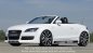 Preview: Rieger Seitenschweller Audi TT (8J) 09.06- - 99045