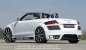 Preview: Rieger Seitenschweller Audi TT (8J) 09.06- - 99046