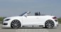 Preview: Rieger Seitenschweller Audi TT (8J) 09.06- - 99046