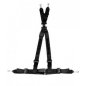 Preview: Schroth Rallye 4 asm schwarz