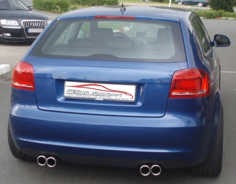 Friedrich Motorsport Gr.A Duplexanlage Audi A3 8P Frontantrieb 991025T-X