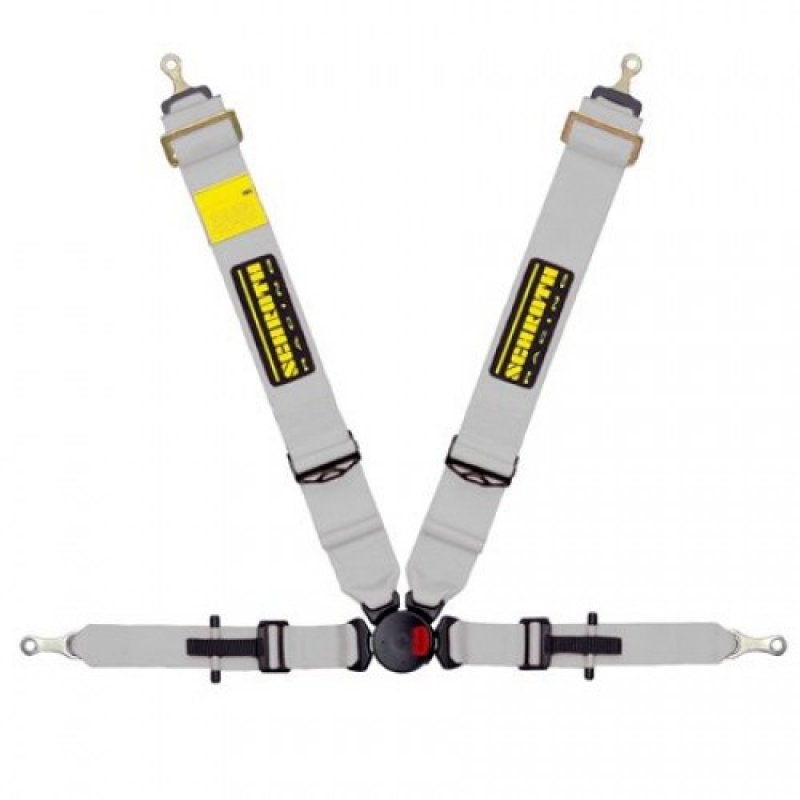 Schroth Profi II-FE asm silber