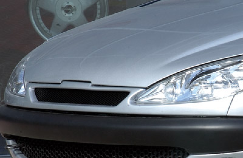 Rieger Grill Peugeot 206 09.98-05.06 - 52210
