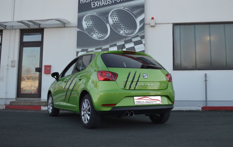 Friedrich Motorsport Gr.A Anlage Seat Ibiza 6J 982742-X