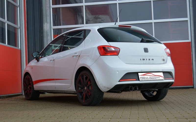 Friedrich Motorsport Gruppe A Anlage Seat Ibiza 6J Facelift / 6P 982744TF-X