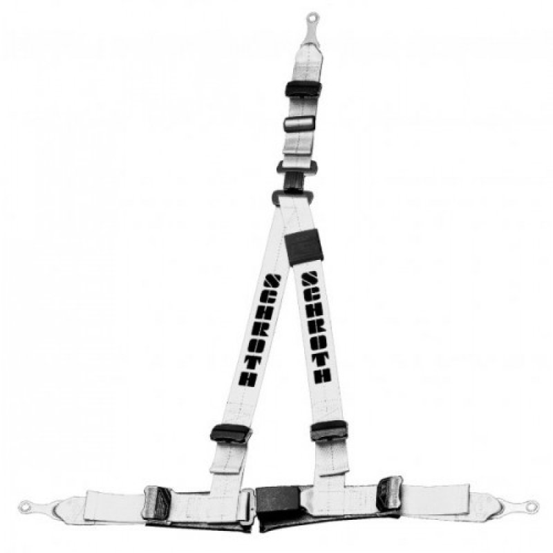 Schroth Rallye 3 asm silber