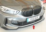 Rieger Spoilerschwert BMW 1er F40 (F1H) 07.19- - 35070