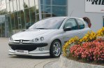 Rieger Spoilerlippe Peugeot 206 09.98-05.06 - 52200