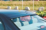Rieger Heckscheibenblende BMW 5er E39 12.95-12.02 - 53109