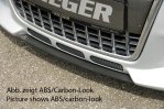 Rieger Spoilerschwert Audi TT (8N) - 55111