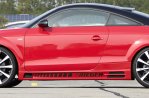 Rieger Seitenschweller Audi TT (8J) 09.06- - 55153