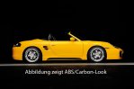 Rieger Seitenschweller Porsche Boxster (986) 09.96-10.04 - 57005