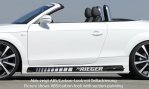 Rieger Seitenschweller Audi TT (8J) 09.06- - 99045