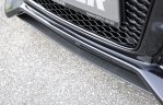Rieger Spoilerschwert Audi TT (8J) 09.06- - 99099