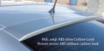 Rieger Heckscheibenblende Opel Astra G - 99306