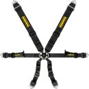 Schroth Profi 3x2 (pull down) 6-Punkt Gurt