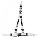 Schroth Rallye 3 asm silber